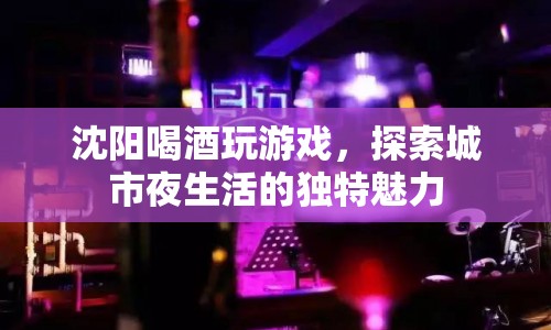 沈陽夜生活新體驗，喝酒玩游戲，探索城市獨特魅力
