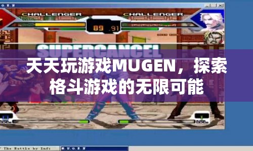 MUGEN，探索格斗游戲的無限可能