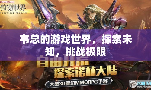 韋總的游戲世界，探索未知，挑戰(zhàn)極限