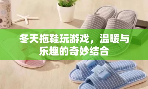 冬日游戲新體驗(yàn)，拖鞋中的溫暖與樂(lè)趣