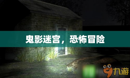 鬼影迷宮，恐怖冒險之旅