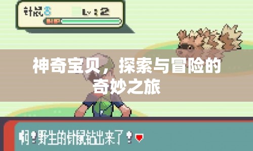 神奇寶貝，探索與冒險(xiǎn)的奇妙之旅