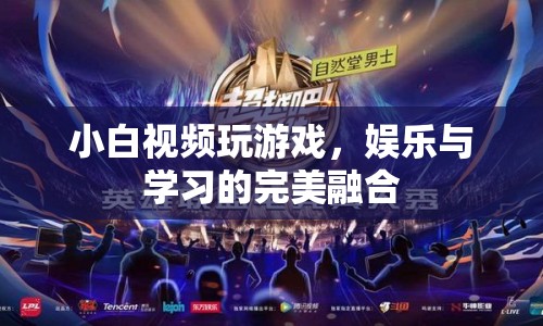 娛樂學(xué)習(xí)兩不誤，小白視頻游戲新體驗