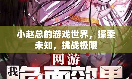小趙總的游戲世界，探索未知，挑戰(zhàn)極限