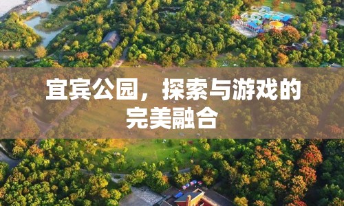 宜賓公園，探索與游戲的完美融合之地