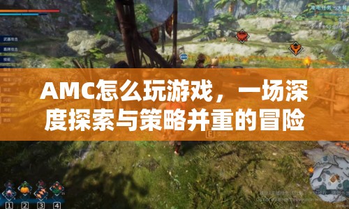 AMC，深度探索與策略并重的冒險(xiǎn)之旅