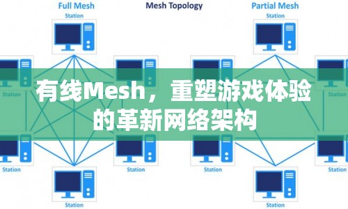 有線Mesh，重塑游戲體驗的革新網(wǎng)絡(luò)架構(gòu)