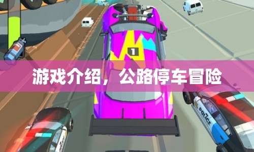 公路停車(chē)冒險(xiǎn)，驚險(xiǎn)刺激的駕駛挑戰(zhàn)