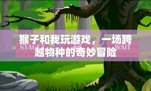 猴子與我，一場(chǎng)跨越物種的奇妙冒險(xiǎn)  第1張