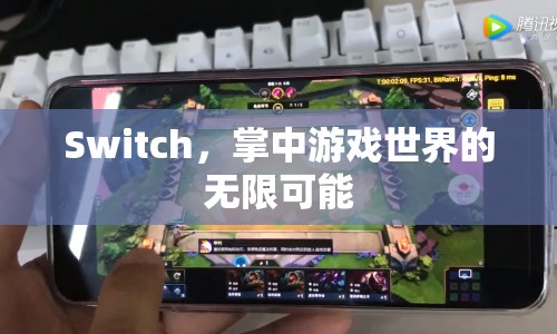 Switch，掌中游戲世界的無限可能