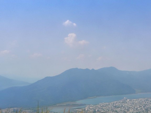 凝礦蘭種植藝術(shù)，打造我的世界中的獨特景觀