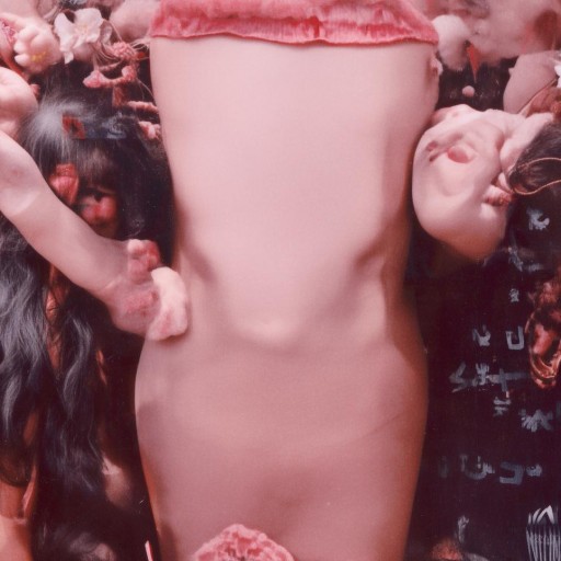 瀧澤蘿拉白妖精為何如此迷人？她的秘密你了解多少？